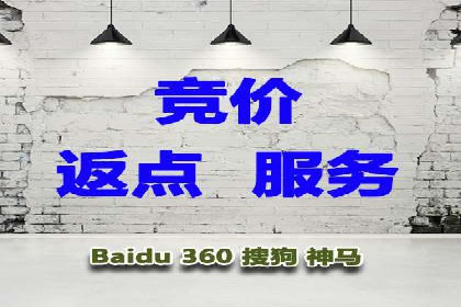 探索专业SEM托管的奥秘：从案例看效果