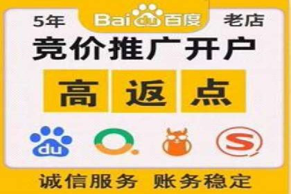 百度竞价排名案例：实战解析如何抢占市场先机